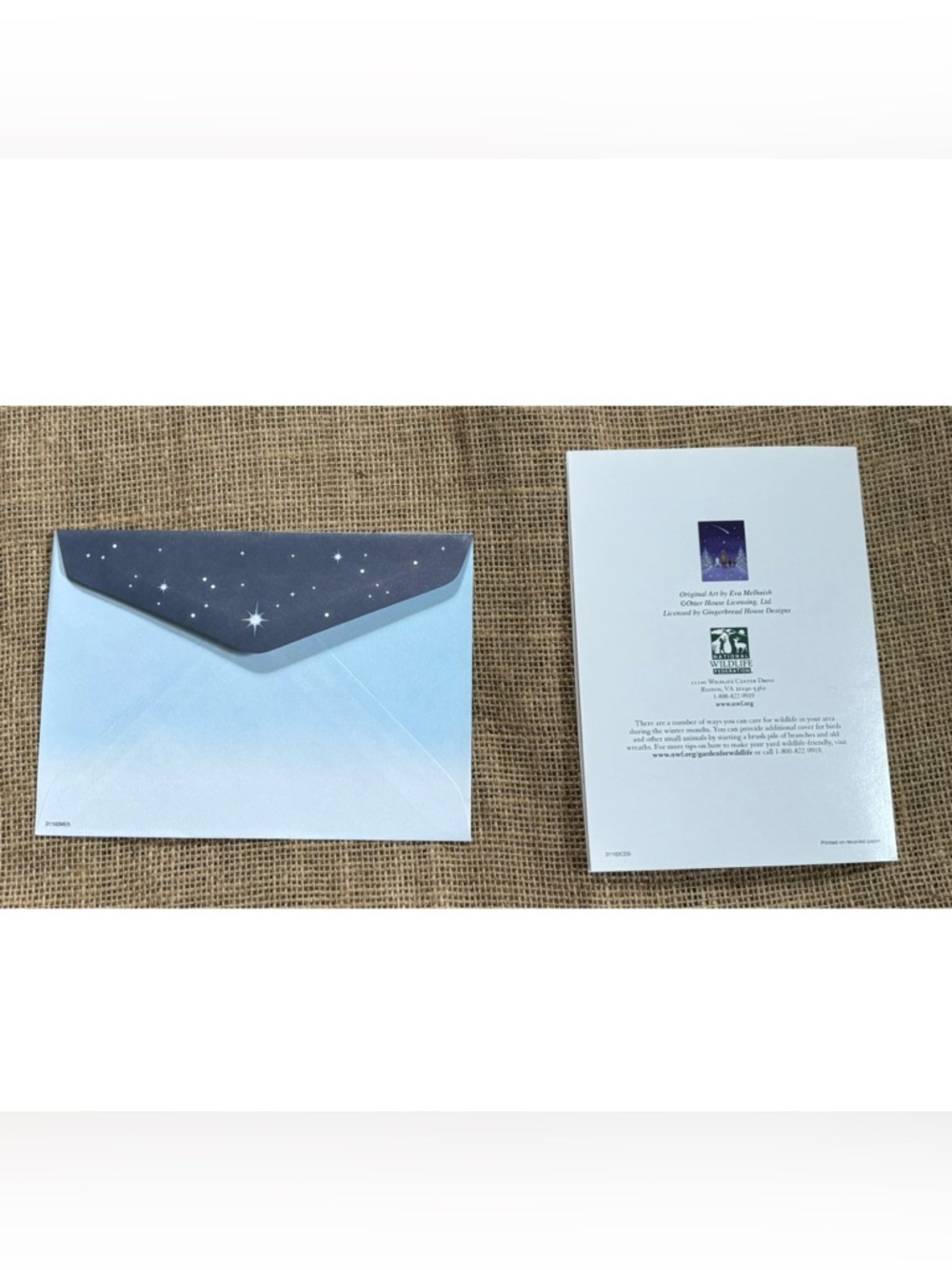 Eva Melhuish Animals Watching Shootings Stars Christmas Card w Matching Envelope - Picture 3 of 5